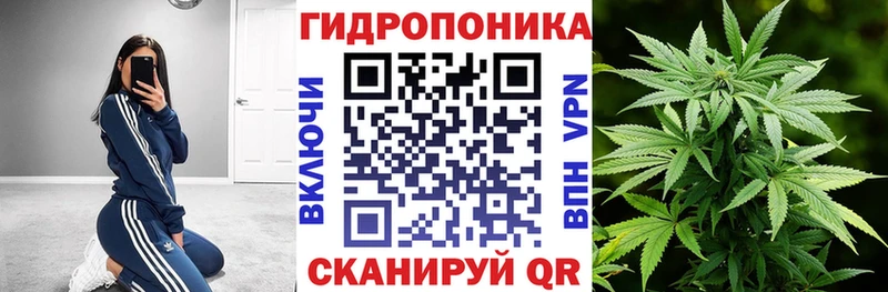 Марихуана White Widow  наркошоп  Новохопёрск 
